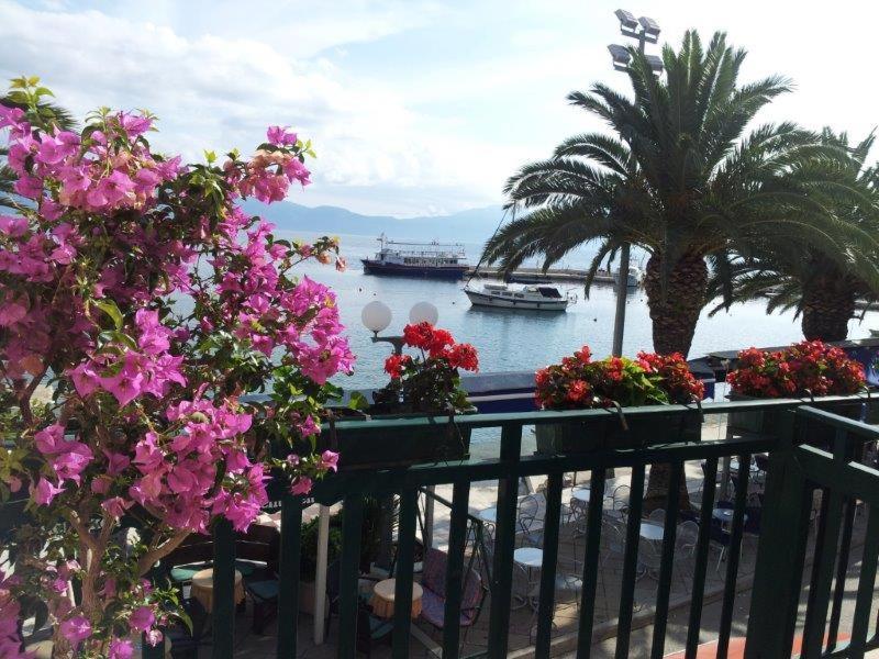 Apartman Iris Gradac  Exterior photo